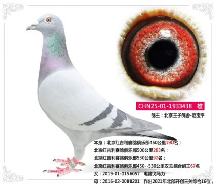 �����켪��������ֲ�˫���ۺϸ���67��   ��	