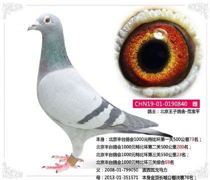 ������̨���1000Ԫ�رȻ������ۺ�69��   ��	