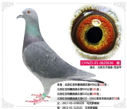 �����켪��������ֲ�˫���ۺϸ���58��  ��	