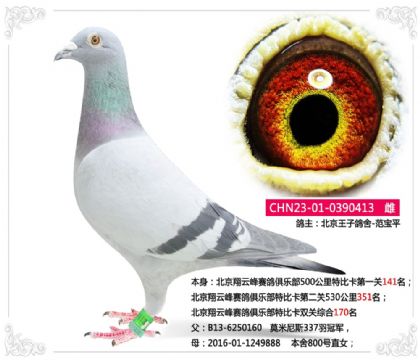 �������Ʒ�������ֲ��رȿ�˫���ۺ�170��  ��	