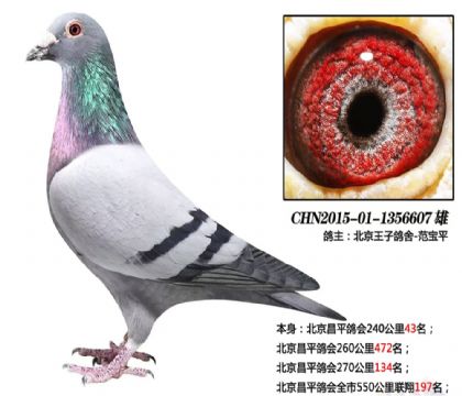 ������ƽ���ȫ��550��������197��   ��	