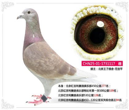 �����켪��������ֲ�˫���ۺϸ���94��  ��	