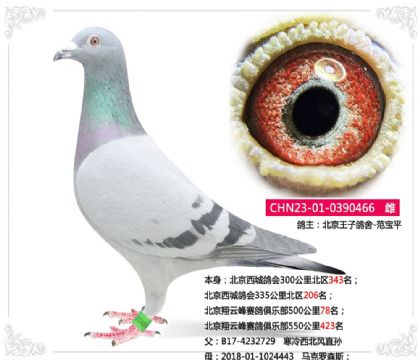 �������Ʒ�������ֲ�500����78��   ��	