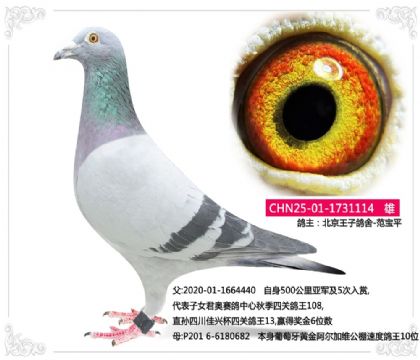 �������ƽ𰢶���ά�����ٶȸ���10λֱ��114   ��	