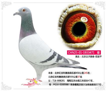 �����켪��������ֲ�500����37��   ��	