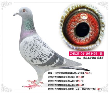 �����켪��������ֲ�˫���ۺϸ���90��  ��	