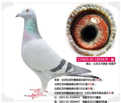 �����켪��������ֲ�˫���ۺϸ���56��  ��