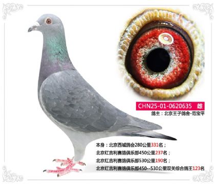 �����켪��������ֲ�˫���ۺϸ���123��   ��