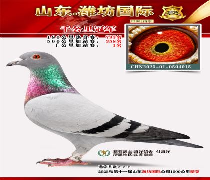 Ϋ������ǧ����ھ�