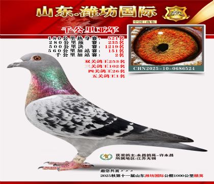 Ϋ������ǧ�����Ǿ�