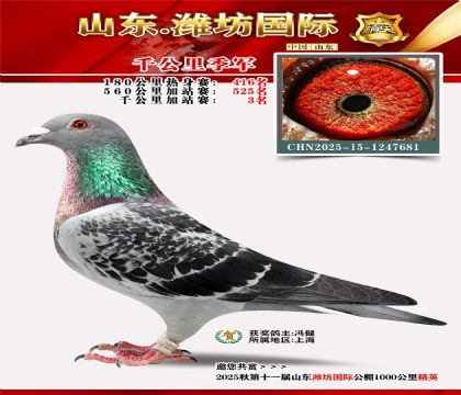 Ϋ������ǧ���＾��