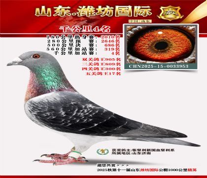 Ϋ������ǧ����4��