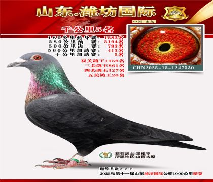 Ϋ������ǧ����5��