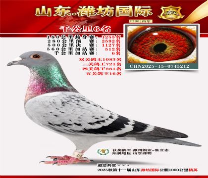 Ϋ������ǧ����6��