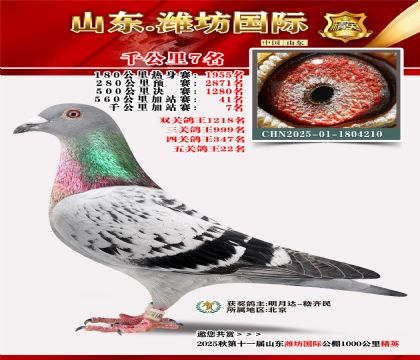 Ϋ������ǧ����7��