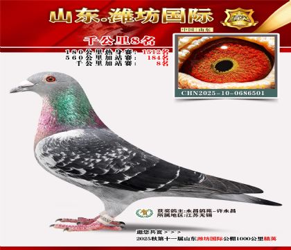 Ϋ������ǧ����8��