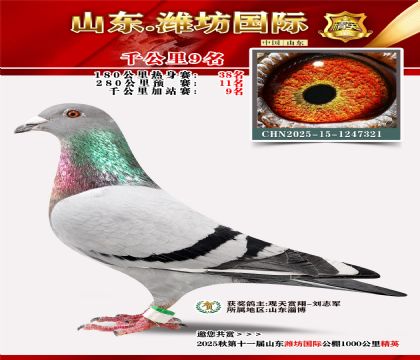 Ϋ������ǧ����9��