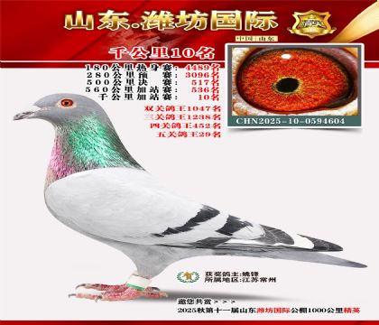 Ϋ������ǧ����10��