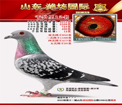 Ϋ������ǧ����12��