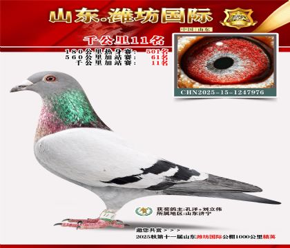 Ϋ������ǧ����11��