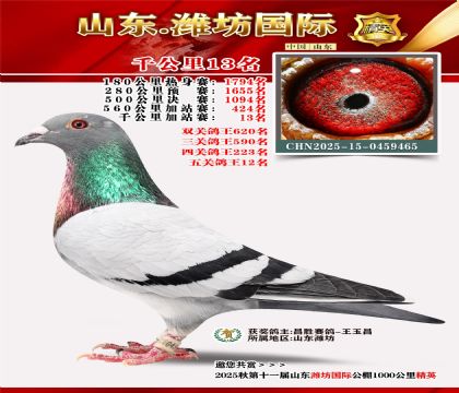 Ϋ������ǧ����13��