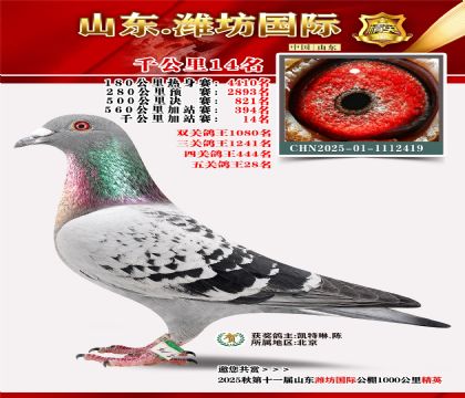 Ϋ������ǧ����14��