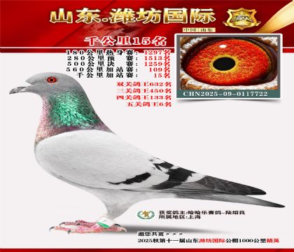 Ϋ������ǧ����15��