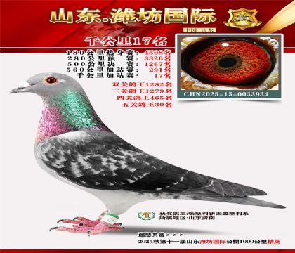 Ϋ������ǧ����17��