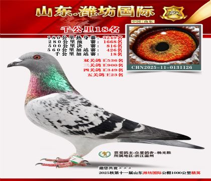 Ϋ������ǧ����18��