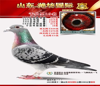 Ϋ������ǧ����19��