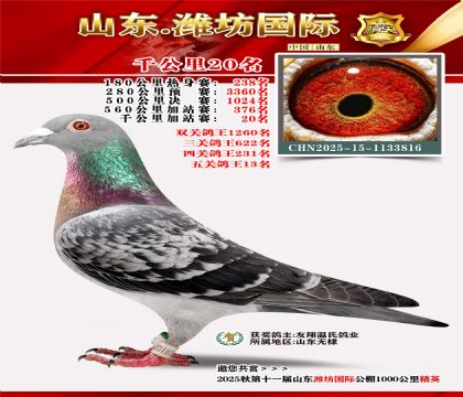 Ϋ������ǧ����20��