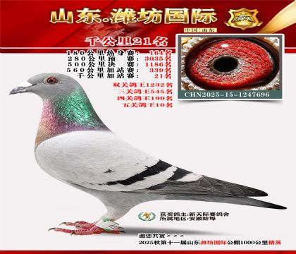 Ϋ������ǧ����21��