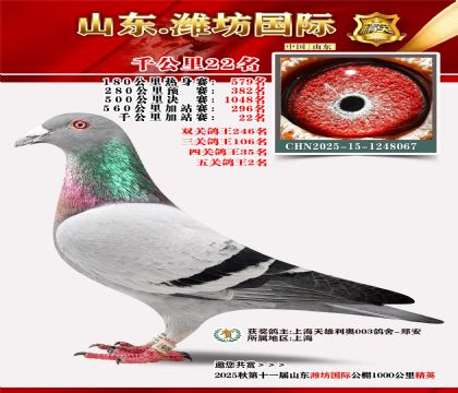 Ϋ������ǧ����22��