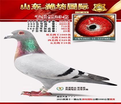 Ϋ������ǧ����23��