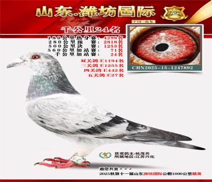 Ϋ������ǧ����24��