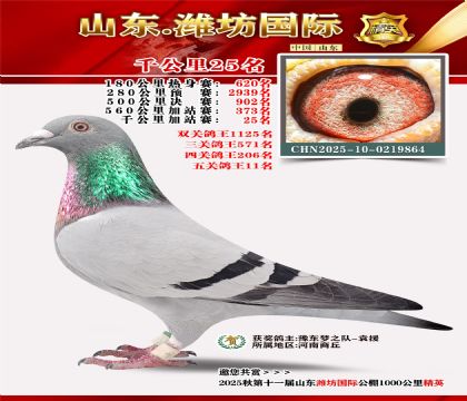 Ϋ������ǧ����25��