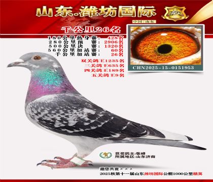 Ϋ������ǧ����26��