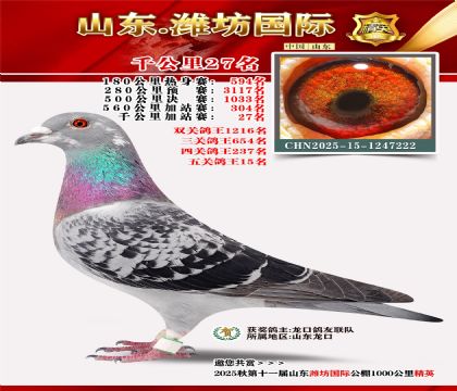 Ϋ������ǧ����27��