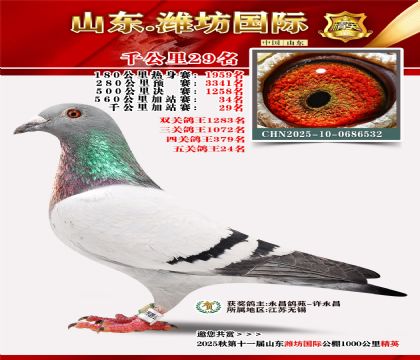 Ϋ������ǧ����29��