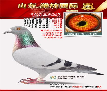 Ϋ������ǧ����28��