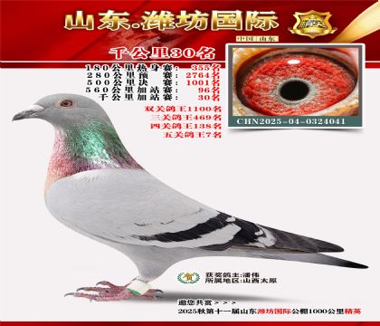 Ϋ������ǧ����30��