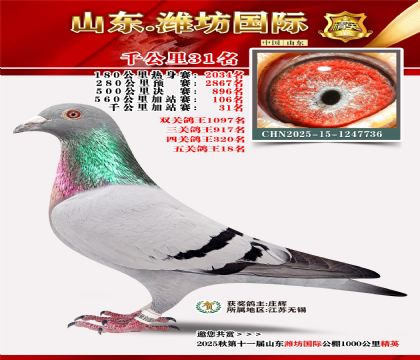 Ϋ������ǧ����31��