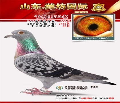 Ϋ������ǧ����32��