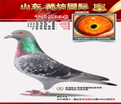 Ϋ������ǧ����33��