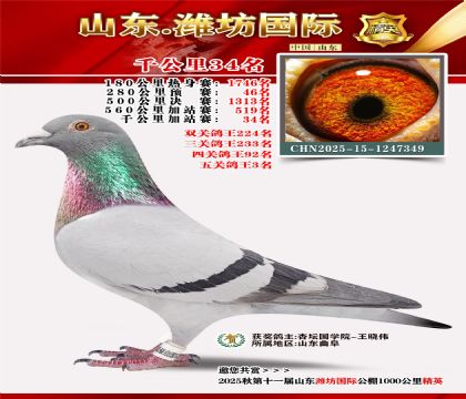 Ϋ������ǧ����34��