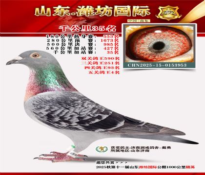 Ϋ������ǧ����35��