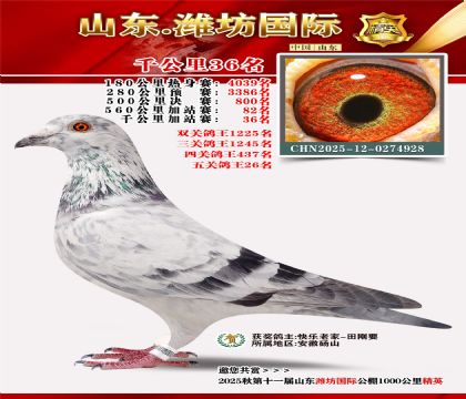 Ϋ������ǧ����36��