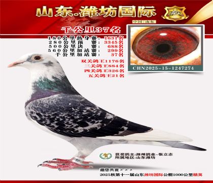 Ϋ������ǧ����37��