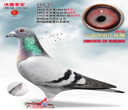 ����ׯ��������