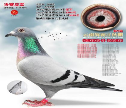 ����ׯ�����Ǿ�